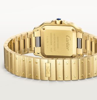 Santos de Cartier watch Back in