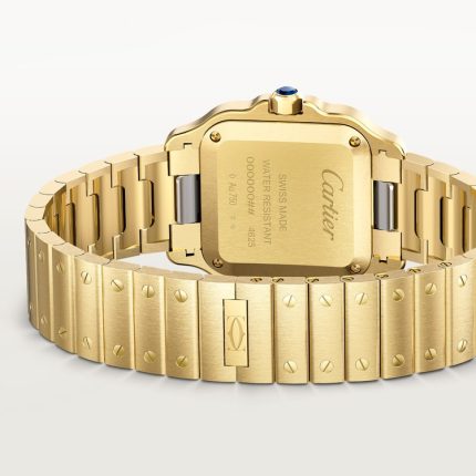 Santos de Cartier watch Back in